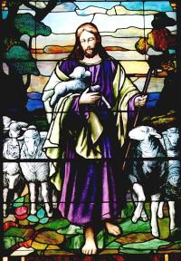 Sixteenth Sunday in Ordinary Time